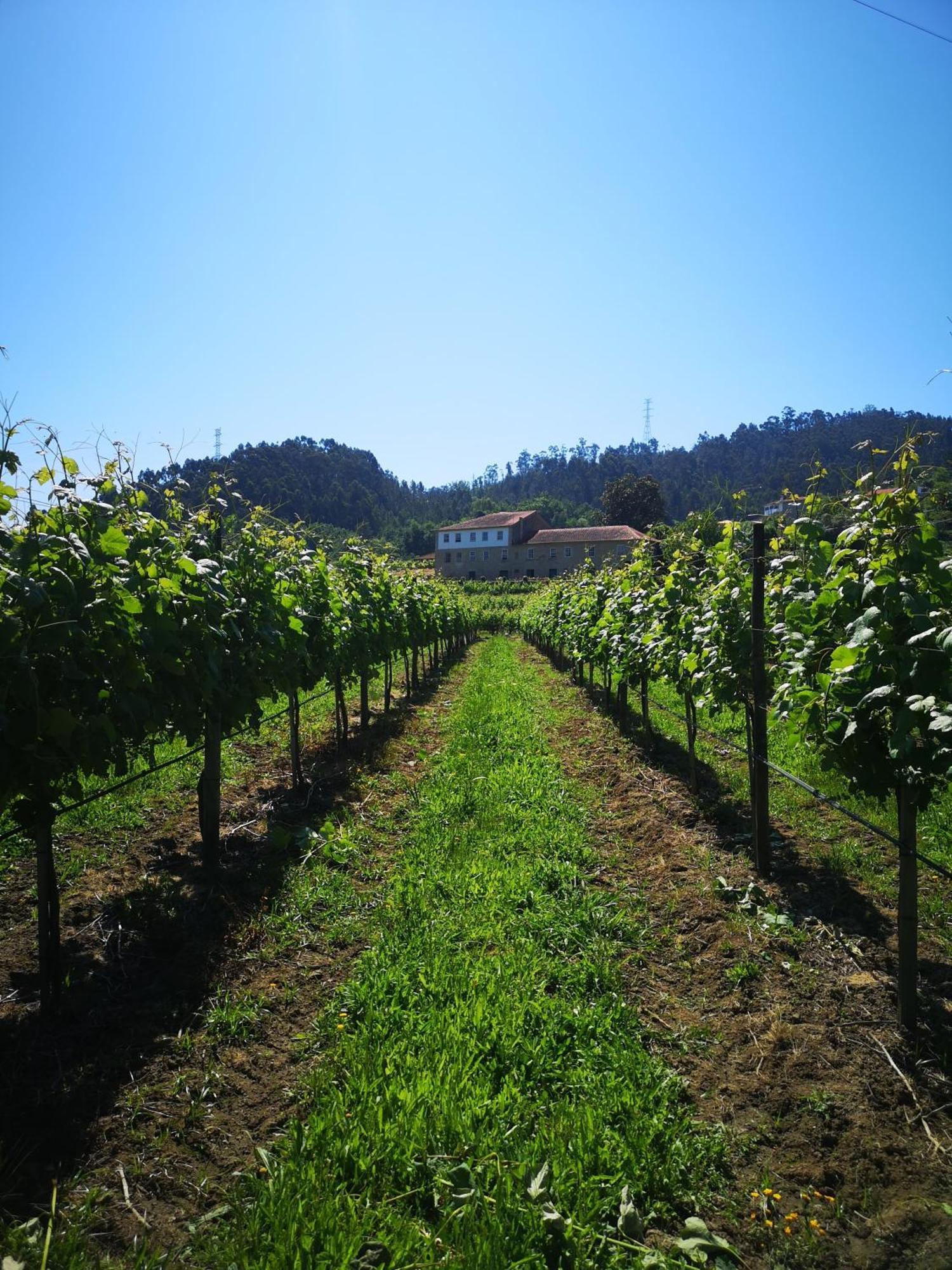 Quinta De Cypriano - Wine & Nature Ponte da Barca Esterno foto